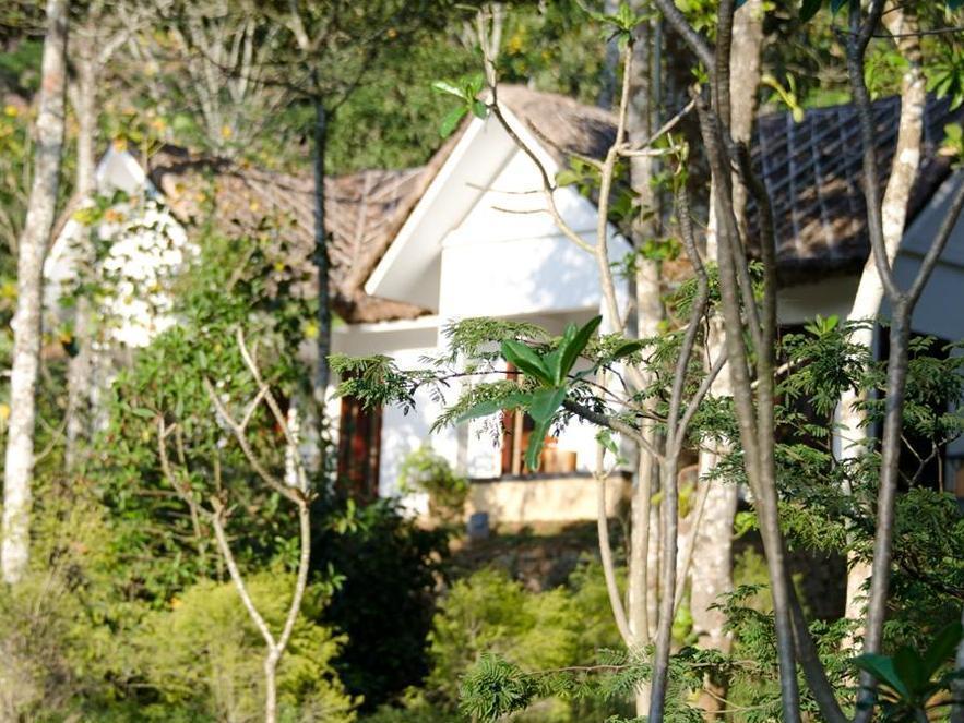 Niraamaya Retreats Cardamom Club Thekkady Exterior photo